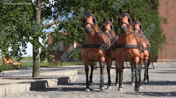 images/goods_img/20210312/3D Team of Four Breast Collar Harness Walking Pose Fur model/5.jpg